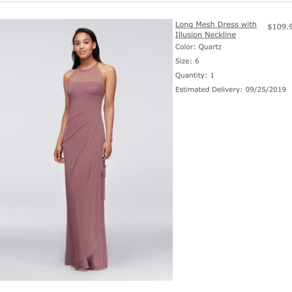 David’s Bridal Elegant Quartz Mesh Dress with Illusion Neckline